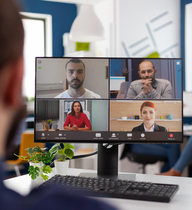 Website professionals discussing a project in an online meeting